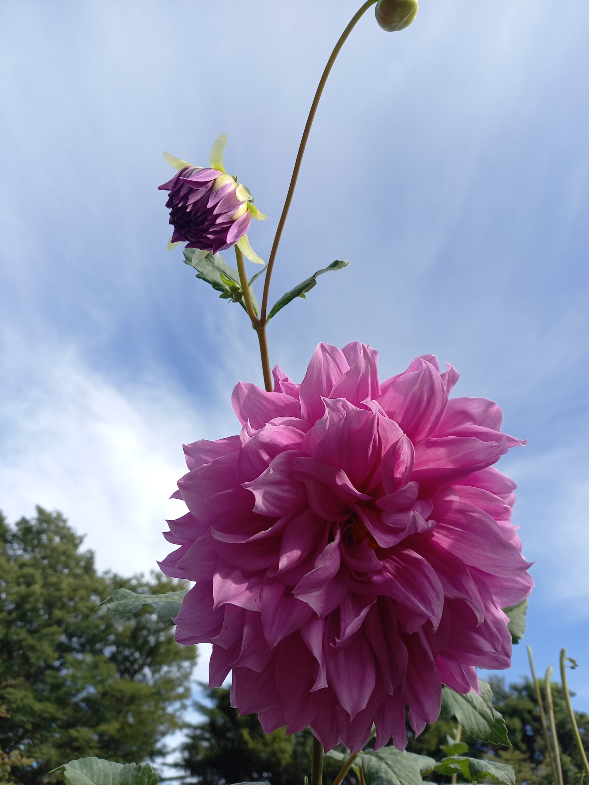 Thumbnail of post image 199