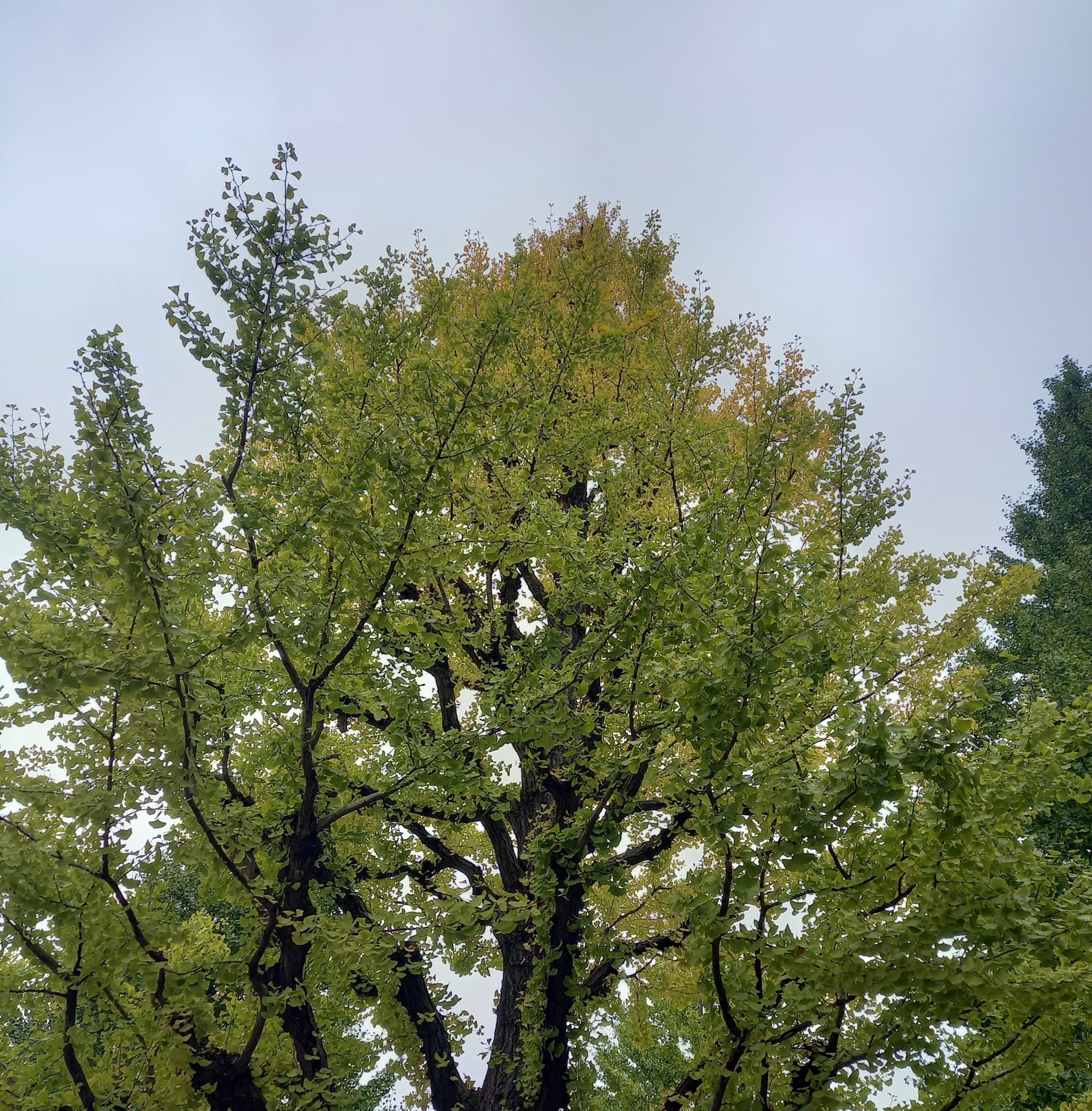 Thumbnail of post image 068