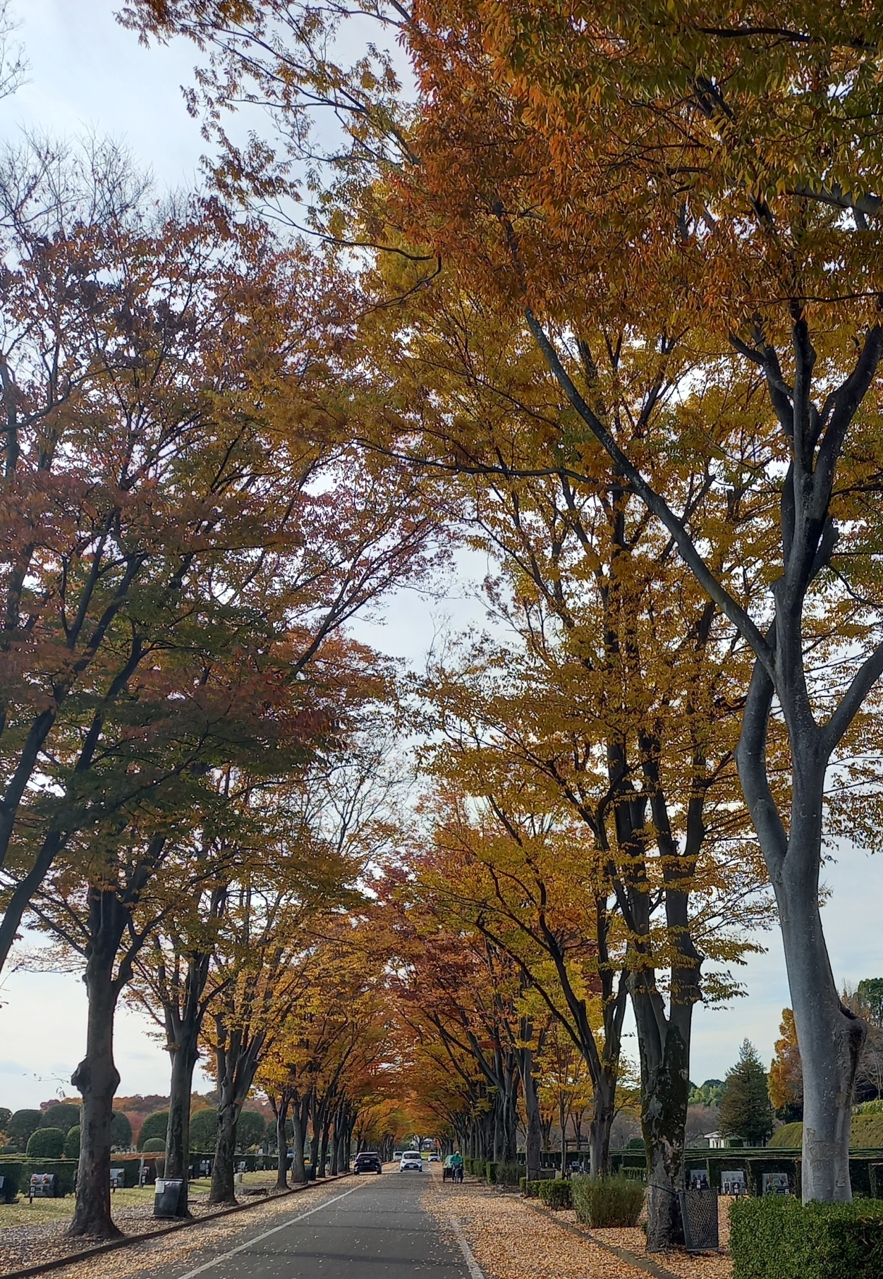 Thumbnail of post image 180