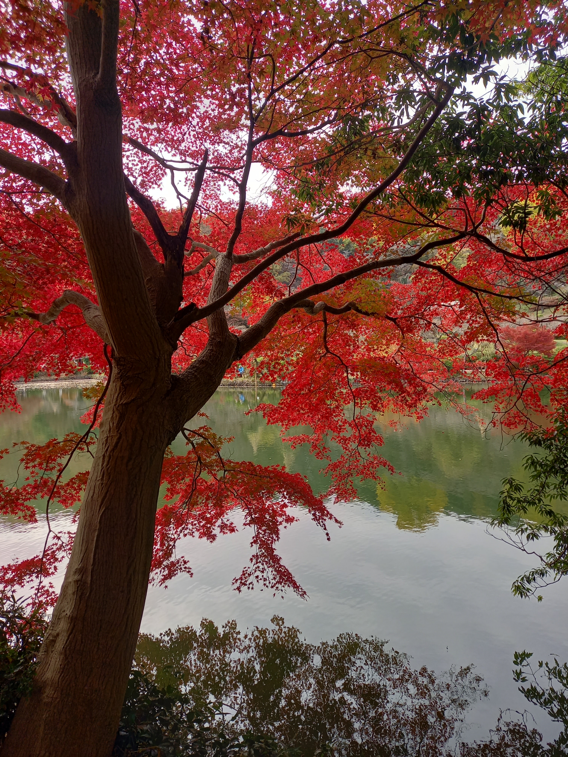 Thumbnail of post image 116