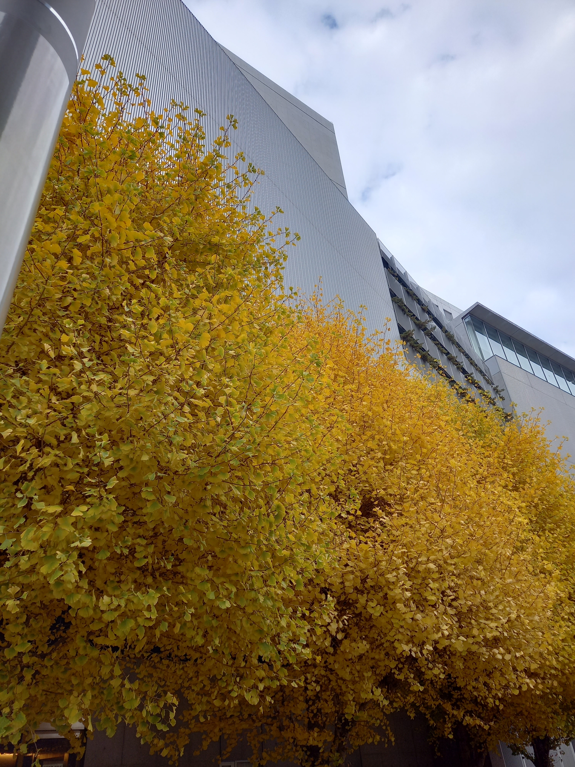 Thumbnail of post image 101