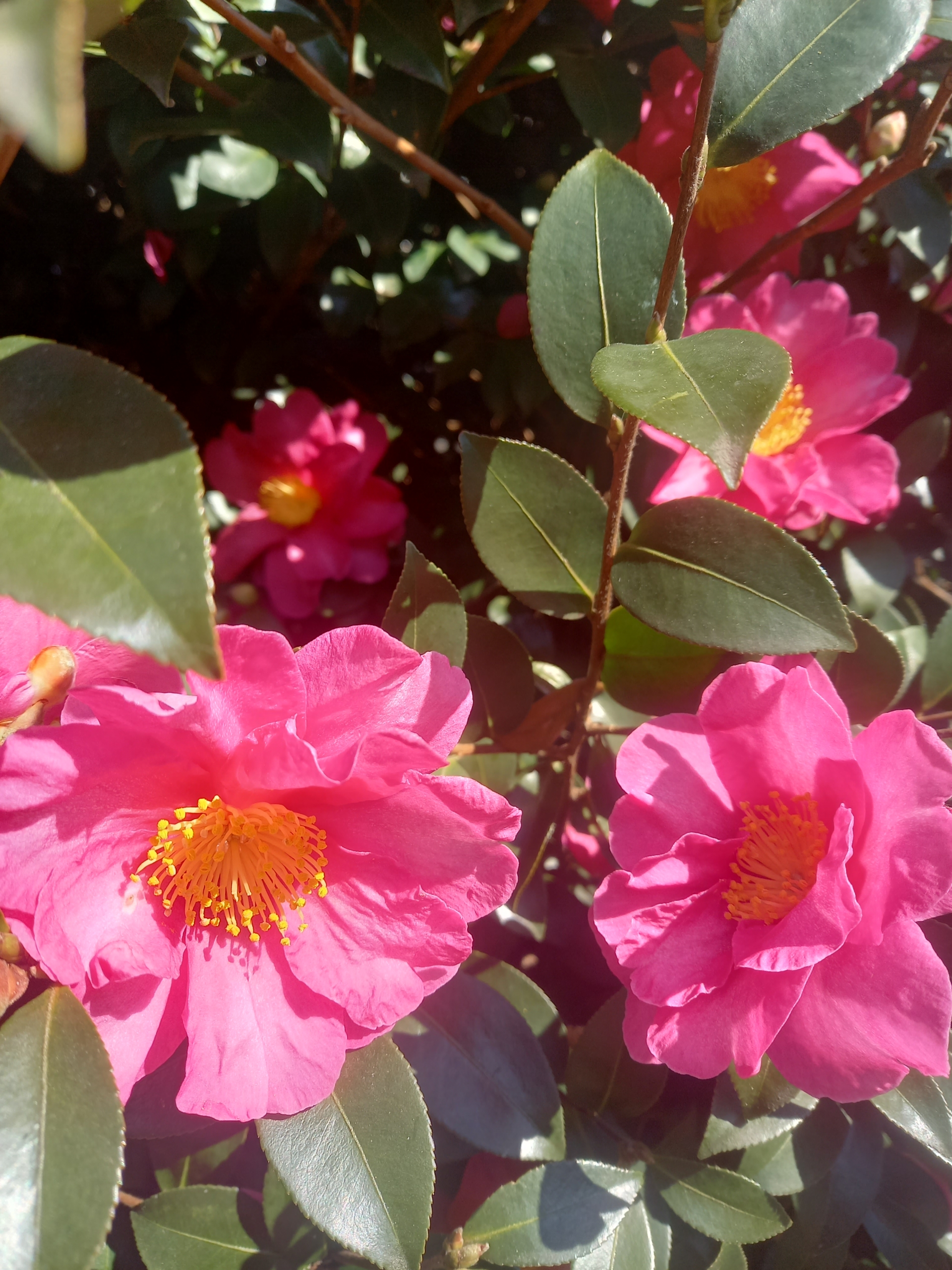 Thumbnail of post image 003