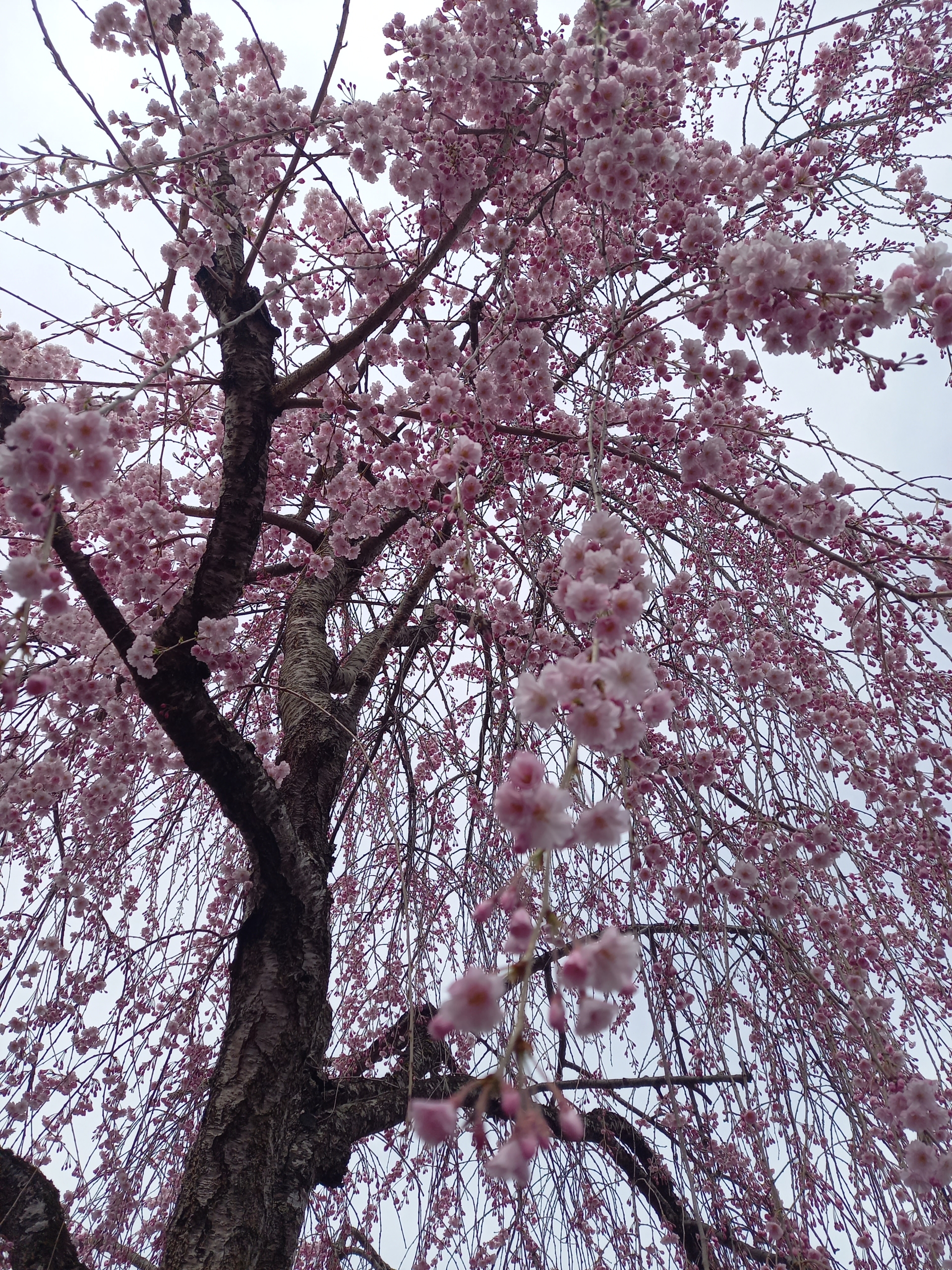 Thumbnail of post image 047