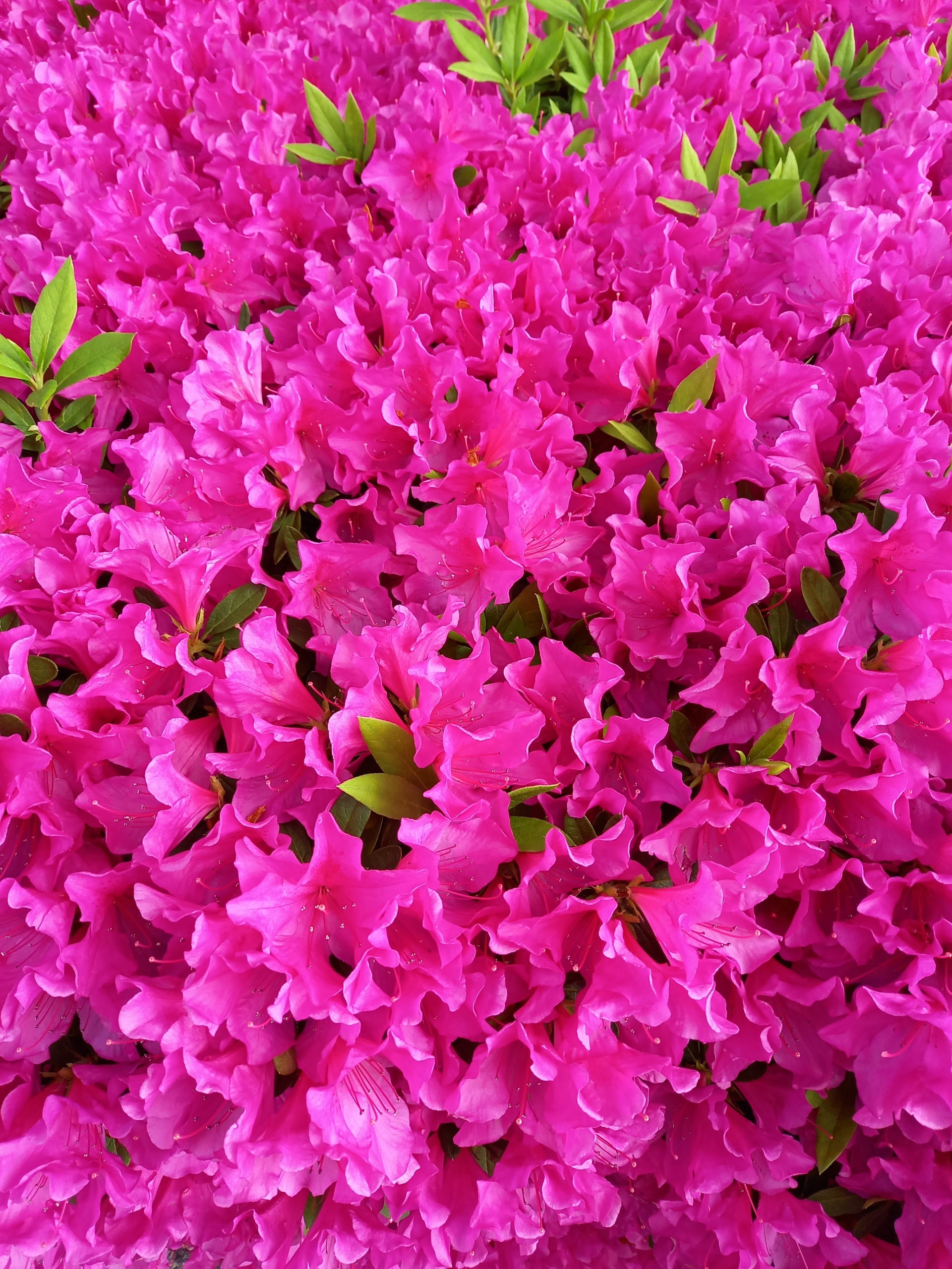 Thumbnail of post image 004