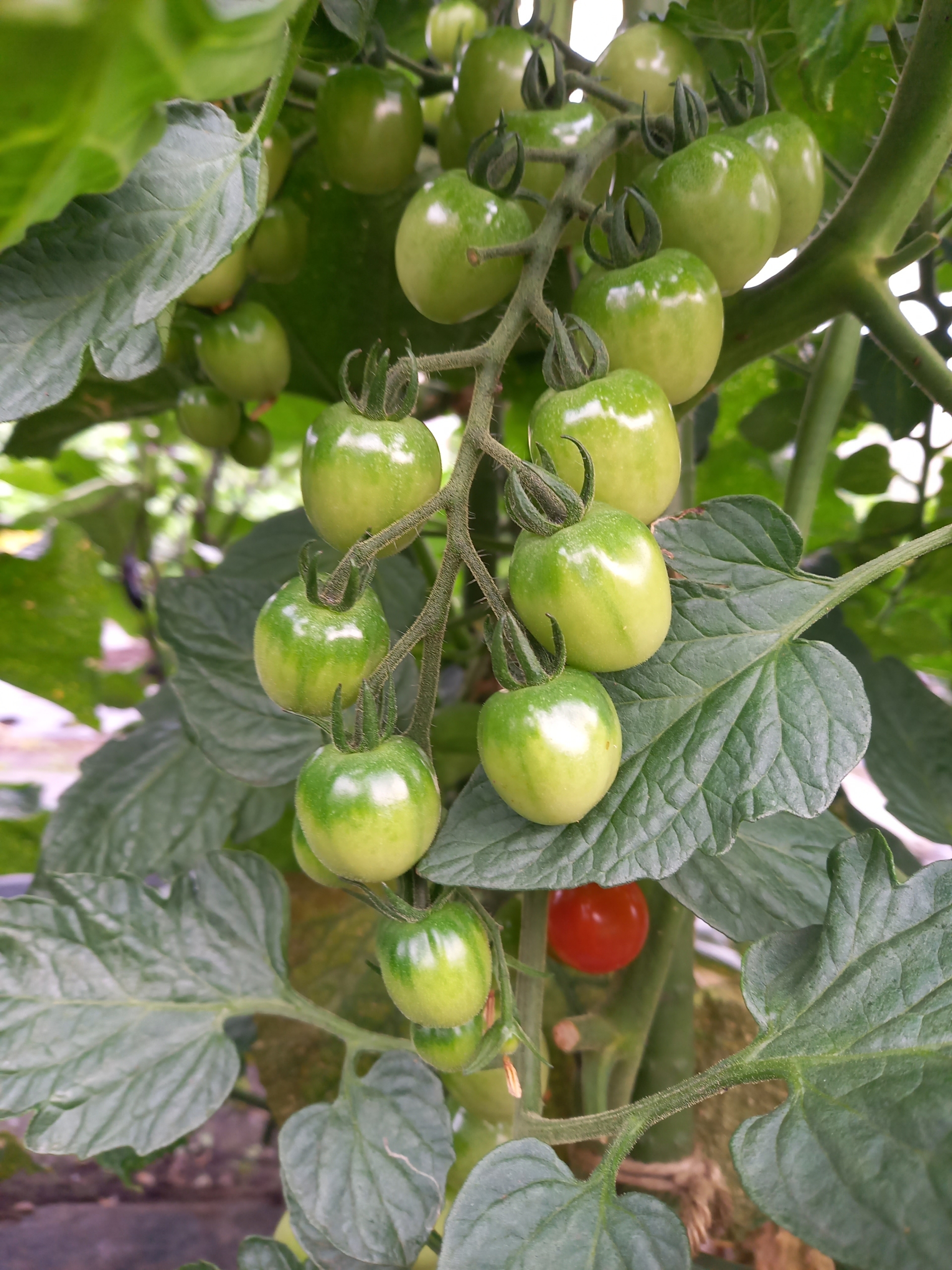 Thumbnail of post image 042