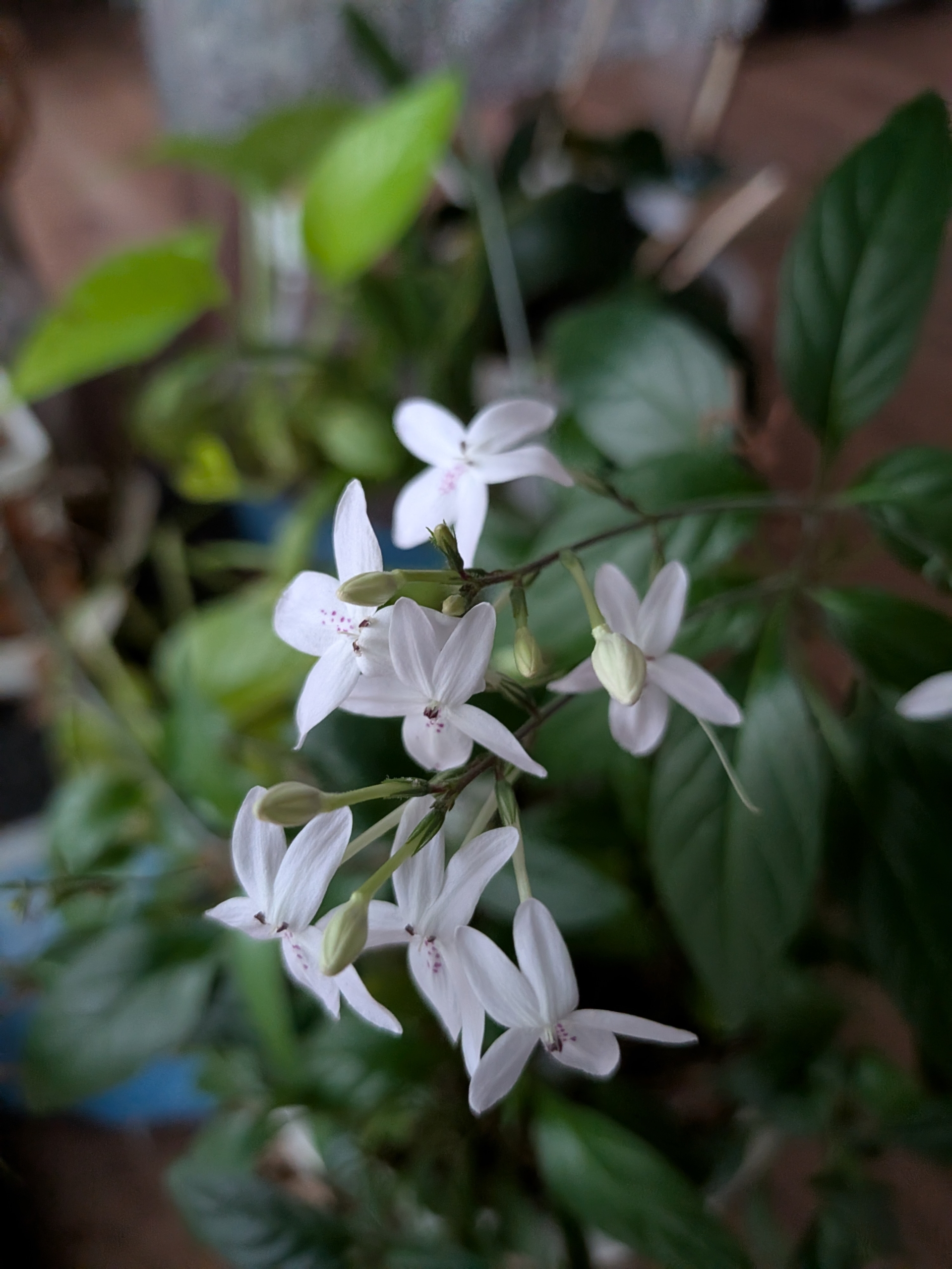 Thumbnail of post image 111